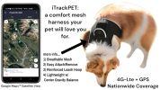 Mini Waterproof GPS Tracking Collars for Hunting Dogs w/ Tracking App Size:XL