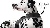 Waterproof Tracking Collars for Hunting Dogs Realtime GPS Pet Tracker Size:XS