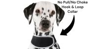 Enhanced GPS Pet Finder System Pet Tracker Waterproof Dog Tracking Device Size:L