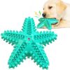 Dog Toys For Large Dogs Tooth Cleaning Chew Funny Interactive Training Starfish Toy Accessories Squeaky Toys TPR Toys